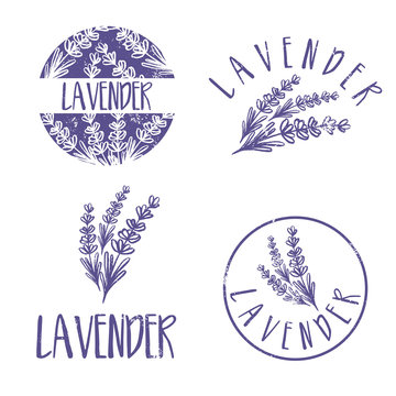 Set of template logo design of abstract icon lavender. Vector illustration