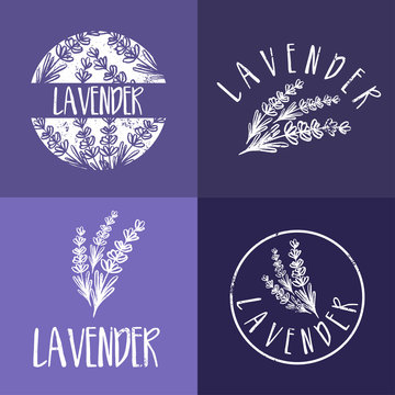 Set of template logo design of abstract icon lavender. Vector illustration