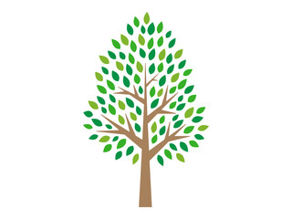 Obraz premium 木のイラスト