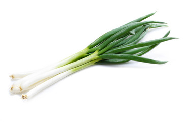 Fototapeta premium ネギ