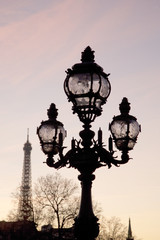 Fototapeta na wymiar Pont Alexander III Bridge Lamppost with Eiffel Tower, Paris, France