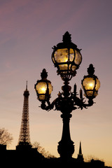 Fototapeta na wymiar Pont Alexandre III Bridge illuminated at night and the Eiffel Tower in Paris, France