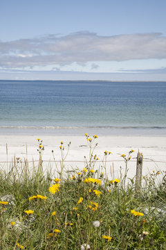 Whitemill Bay; Sanday; Orkney Island; Scotland