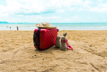 Naklejka premium Rabbit lover travels on the beach.