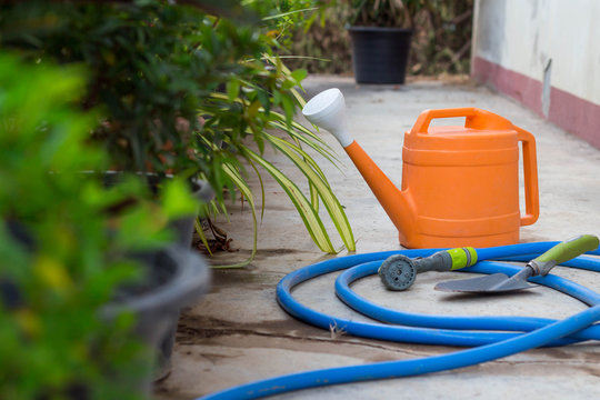 Watering and trovel for plant or tree at garden