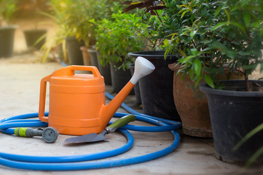 Watering and trovel for plant or tree at garden