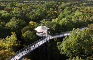 Fototapeta premium Der Baumkronenpfad im Nationalpark Hainich in Thüringen ist Unesco Weltnaturerbe.