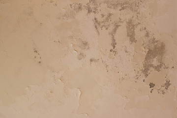 Rain water leaks on the ceiling causing cement damage, peeling paint and moldy.