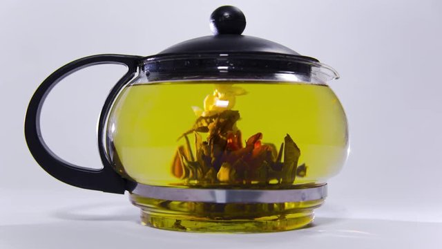 Green Chinese tea flower bud blooming in glass teapot. 4k timelipse.