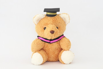 Brown bear wearing a graduation cap on a white background.