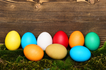 painted easter colorful eggs with green moss on wooden background