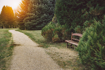 Road in the park