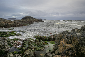 Rocky West Coast Shorline