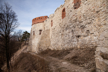 Fototapeta premium Castle Tenczyn. Ruins old medieval castle in Rudno, Poland. Characteristic type of construction the castle in the style of eagle nests.