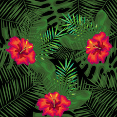 Obraz na płótnie Canvas tropical flowers decorative card vector illustration design
