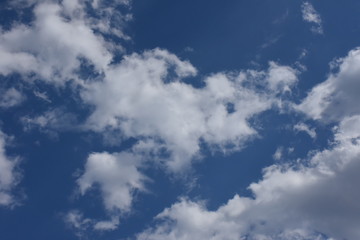 Fototapeta premium メルヘン・空に浮かぶ愛玩犬