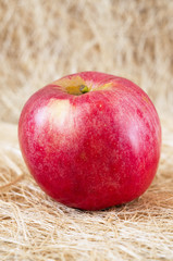 A fresh ripe apple on the straw rustic background.