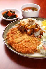 curry tonkatsu. Japanese style cusine.