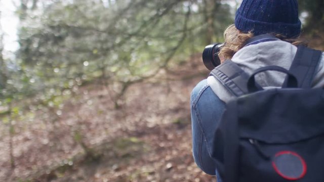 4K Camera follows a photographer in the forest, in slow motion 