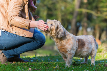 young woman giving her dog a treat