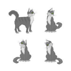 Серый кот в разных позах