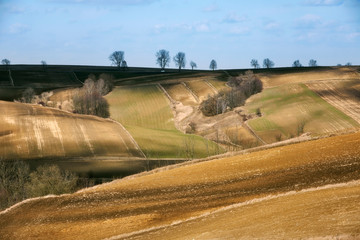 Fields and agriculture,  Ponidzie, Poland