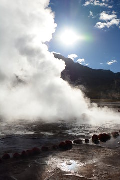 Close up of a geyser. El Tatio. Antofagasta region. Chile