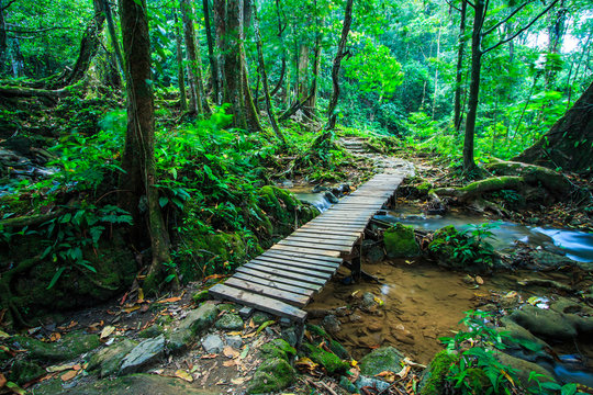 Fototapeta Wooden bridge over the waterfall in the tropical forest