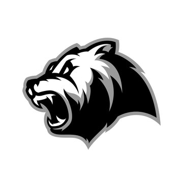 Furious bear head sport vector logo concept isolated on white background. Modern predator professional team badge design.
Premium quality wild animal t-shirt tee print illustration.