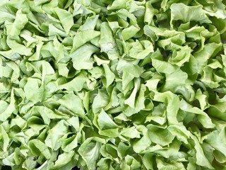 Fototapeta na wymiar Fresh salad leaf in farmer market full size background