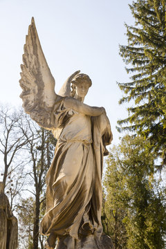 Old monument of angel at Lychakiv cemetery, Lviv, Ukraine