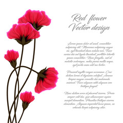 Vector red flower illustration isolated on white background. Poppies greeting card or invitation