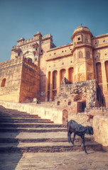 Naklejka premium Amber Fort