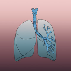 Respiratory system infographic on red background