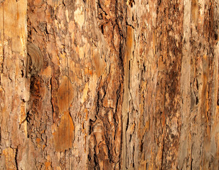 .Wooden brown cracked background of a teesture
