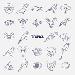 Vector illustration of tropical birds animals and fishes icon