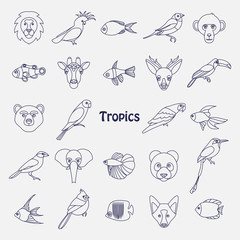 Obraz premium Vector illustration of tropical birds animals and fishes icon