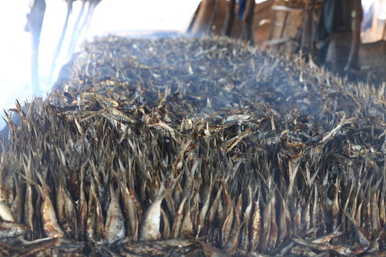 hareng haring gambie fum&eacute; smoked