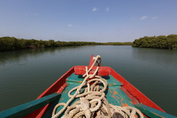 Obraz premium gambie gambia mangrove bateau boat