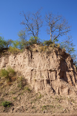 morni hills landscape