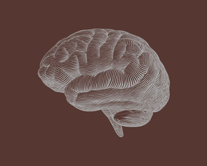 Engraving brain illustration on brown BG