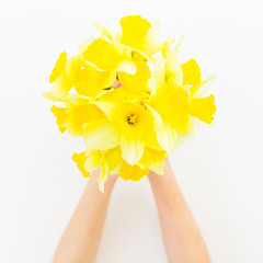 Yellow bouquet of narcissus in woman hands on white background. Flat lay, top view.
