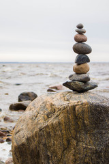 balance in nature no matter what