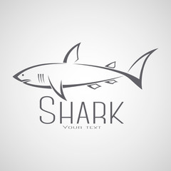 Shark logo with an inscription