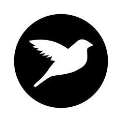 bird silhouette isolated icon vector illustration design