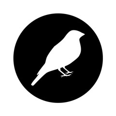 bird silhouette isolated icon vector illustration design