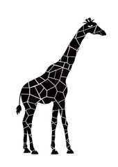 Black and white silhouette of giraffe