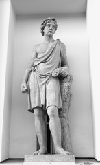 Statue of Adonis. - obrazy, fototapety, plakaty