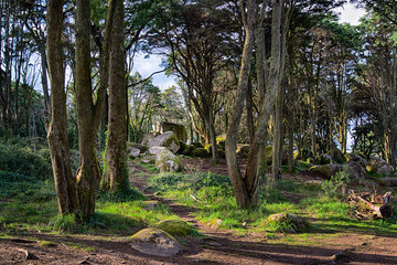 Sintra Mountain Siamese Rocks