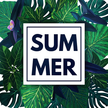Green botanical summer tropical background with palm leaves and exotic purple flowers. Vector floral template.